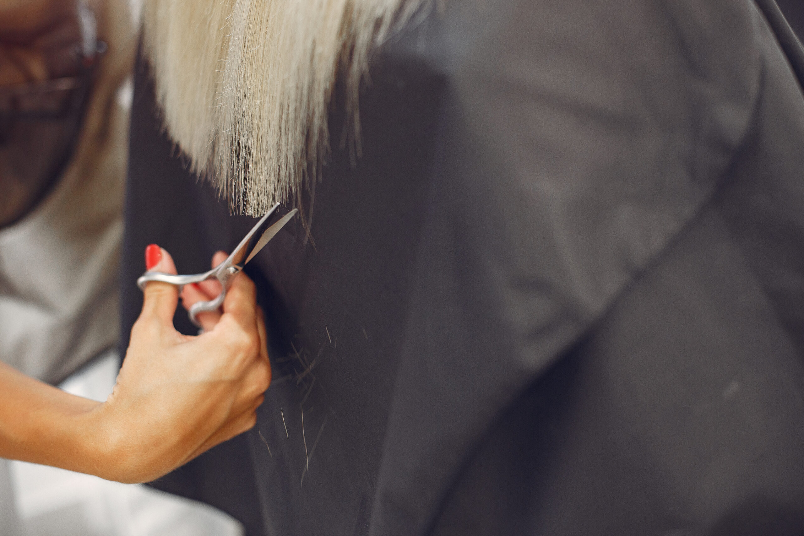 Hairdresser cut hair her client. Woman in a hair salon